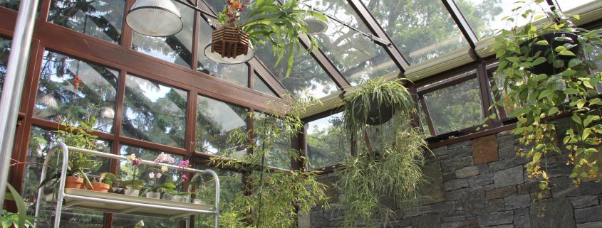 conservatory with hanging plants