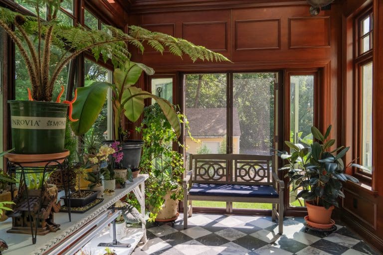 A sunlit glass conservatory with large windows, filled with potted plants and a wooden bench with a blue cushion. Sunlight streams in, highlighting green foliage and checkered black-and-white floor tiles.